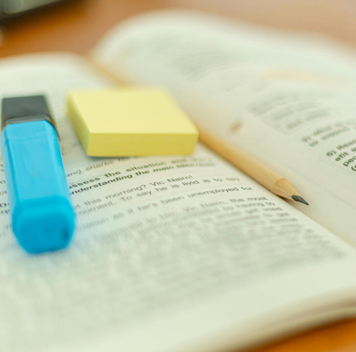 Developmental editing